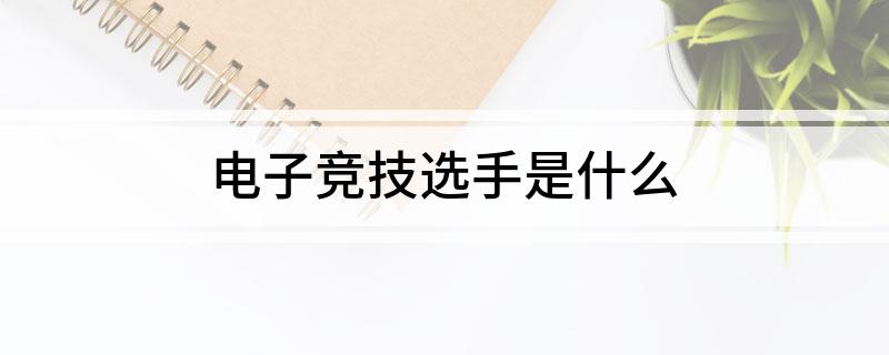 电子竞技选手是什么