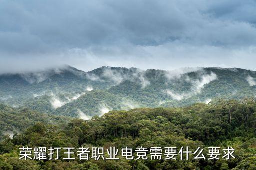 成为电竞职业选手的要求和标准如何成为一名职业电竞选手？