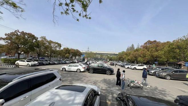 清明假期共青森林公园迎大客流！杨浦警方提醒→(图4)