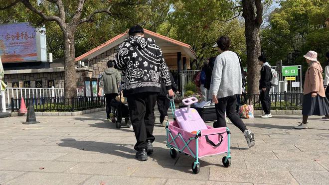 清明假期共青森林公园迎大客流！杨浦警方提醒→(图2)