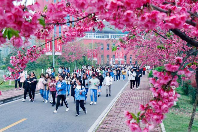 四川2025单招 四川文化产业职业学院(图7)
