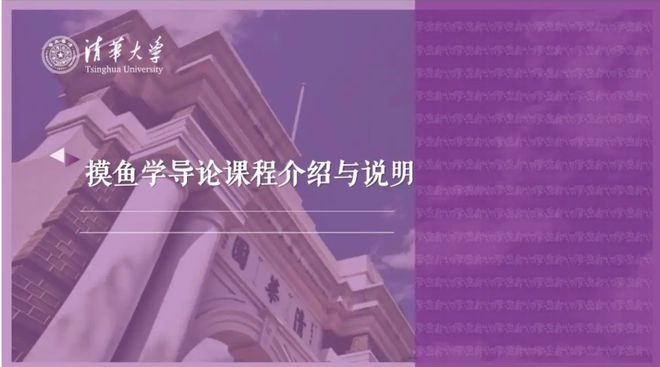 摸鱼游戏Steam个体开发者的下个矿场(图13)