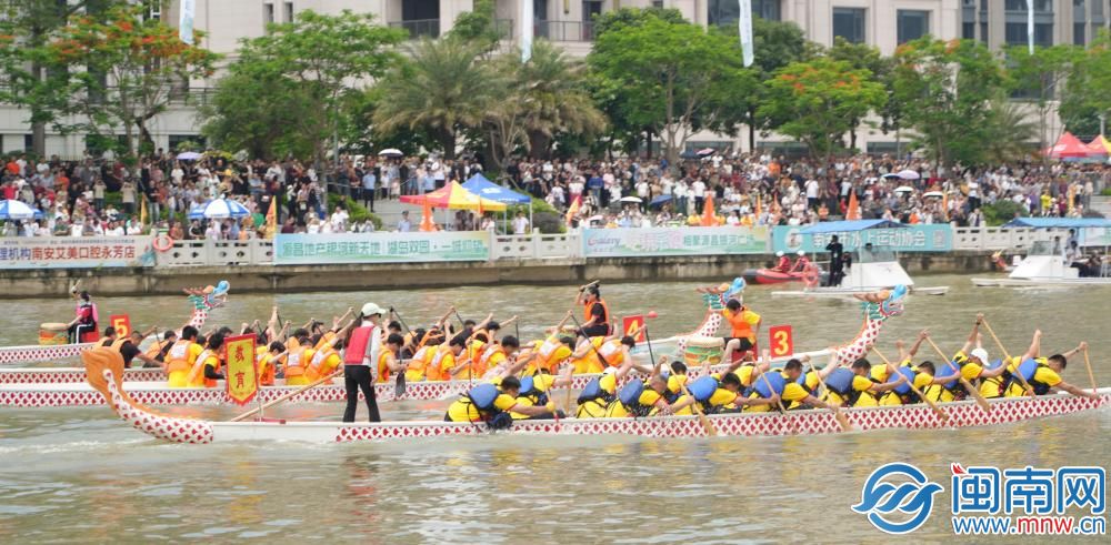 近700名运动员同场竞技 龙舟大赛在南安开赛