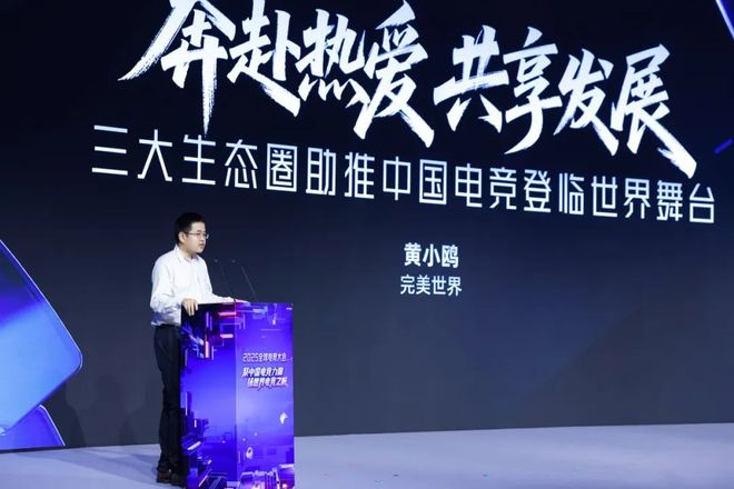 聚中国电竞力量扬世界电竞之帆——2025全球大会成功举办(图12)