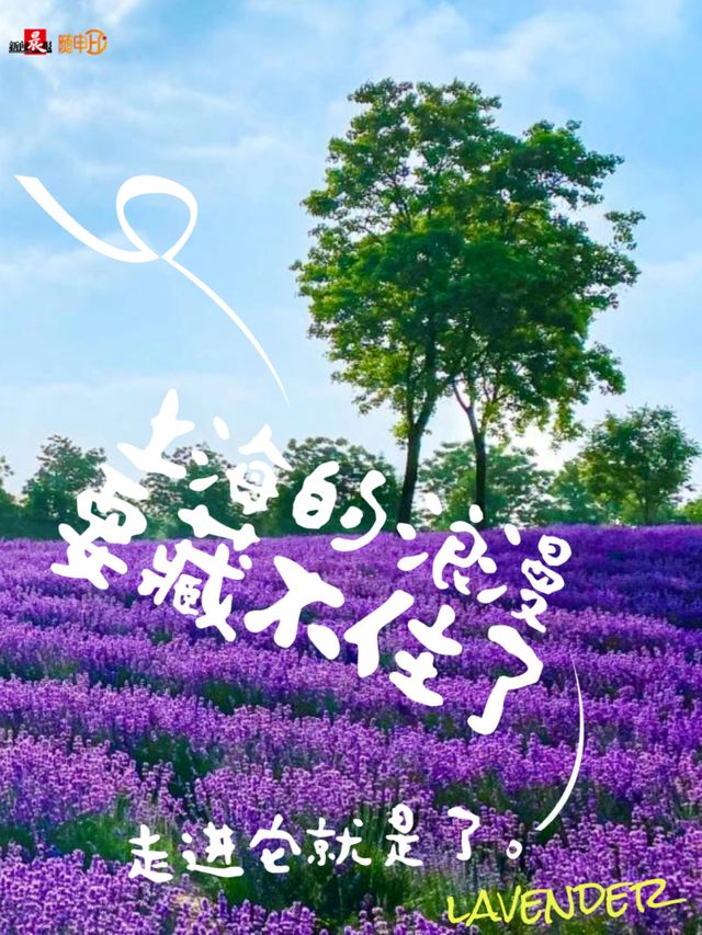 电竞之光点亮申城ACL总决赛引领全城文旅商体展联动新篇章！活动亮点速览→(图4)