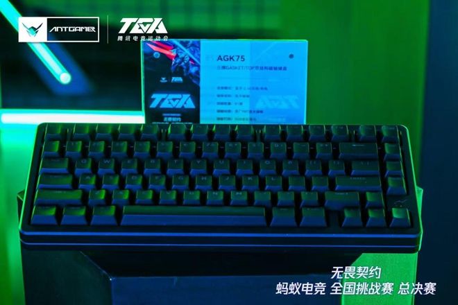 战火重燃！2025TGA无畏契约蚂蚁电竞全国挑战赛火热报名中！(图5)