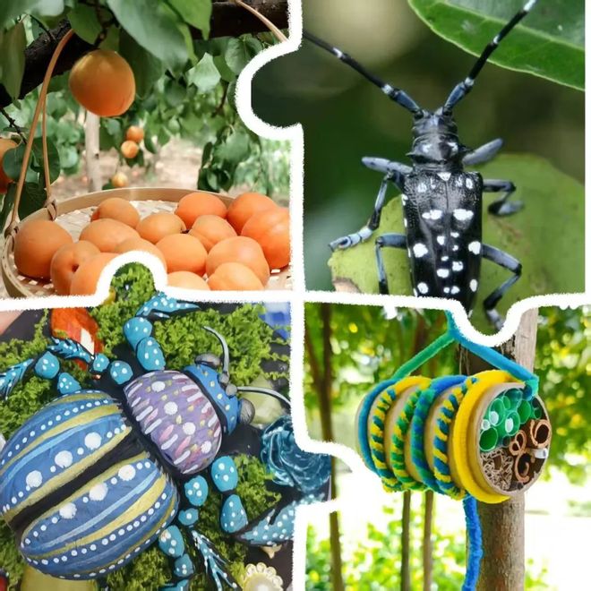 实景美图抢先看！端午节北京活动汇总来了(图33)