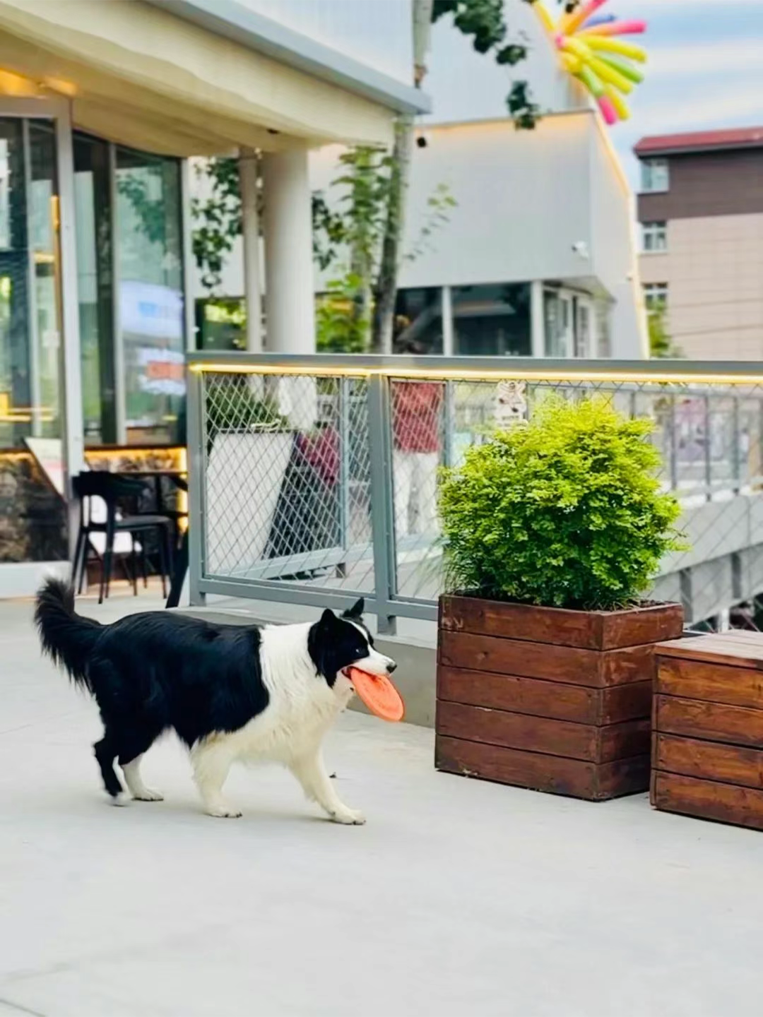 西安“年轻人浓度最高”的7个街区后劲儿太大了！！！(图20)