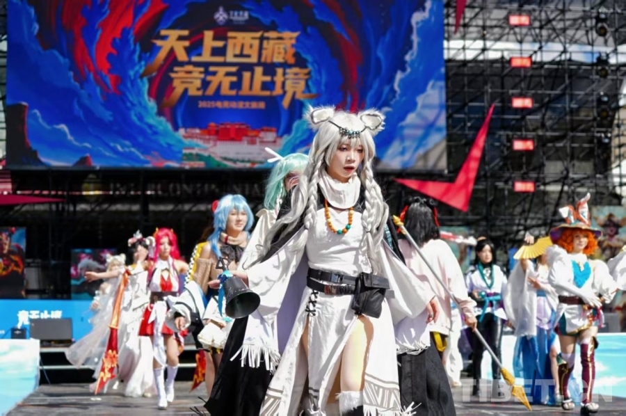 2025年西藏电竞动漫文旅周火热进行 电竞动漫点燃雪域青春活力