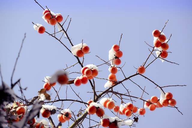 今年立冬有五大特点是哪五大特点看农谚是咋说的有道理吗？