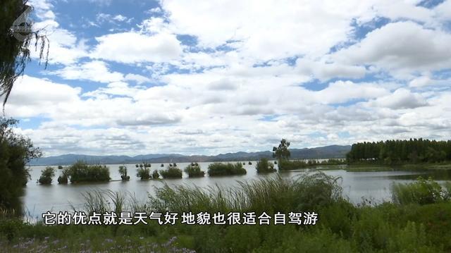 订单暴增114%！昆明冲进全国租车十大热门城市(图4)