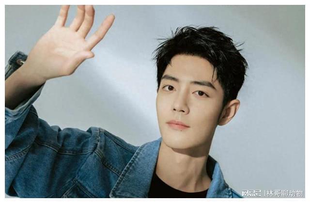 内娱当红男星十大帅哥