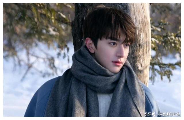 内娱当红男星十大帅哥(图2)