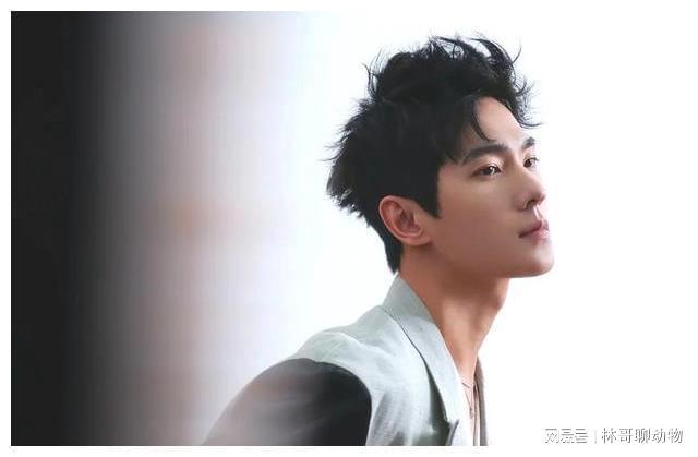 内娱当红男星十大帅哥(图7)