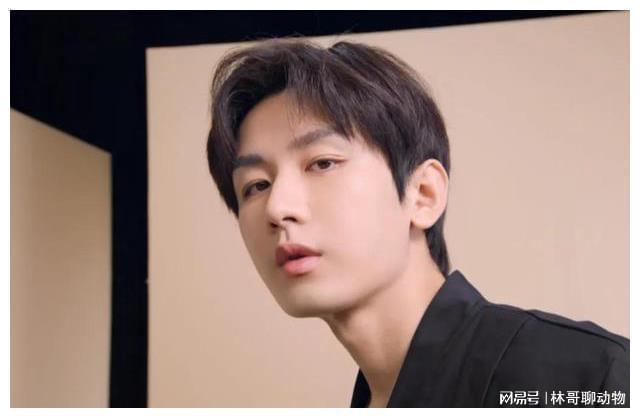 内娱当红男星十大帅哥(图4)