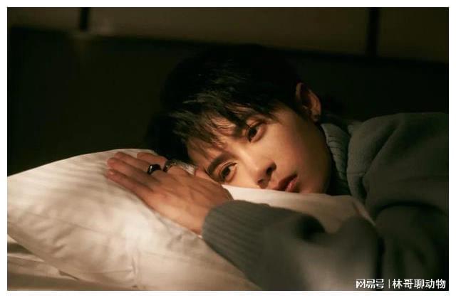 内娱当红男星十大帅哥(图9)