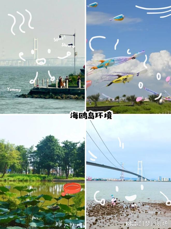 番禺露营团建人均150+承包全天快乐！(图2)