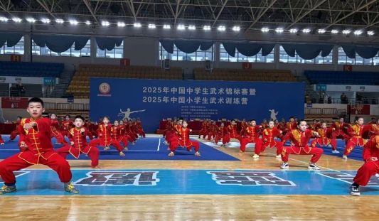 武动青春 竞耀泉城——2025 年中国中学生武术锦标赛暨小学生武术训练营盛大启幕(图2)