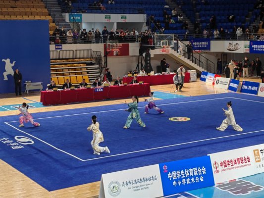 武动青春 竞耀泉城——2025 年中国中学生武术锦标赛暨小学生武术训练营盛大启幕(图5)