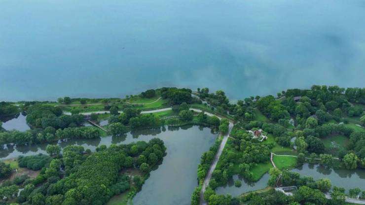 逆势封神!云湖璞院全年热销成就苏州墅居价值标杆!(图5)