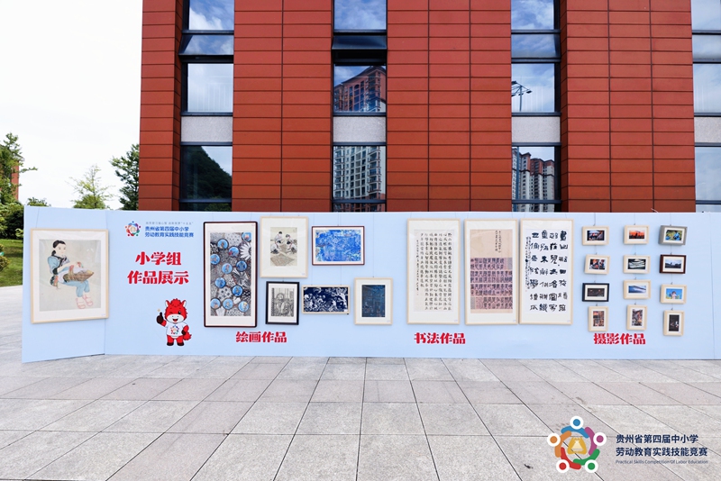 贵州第四届中小学劳动教育实践技能竞赛火热开赛(图9)