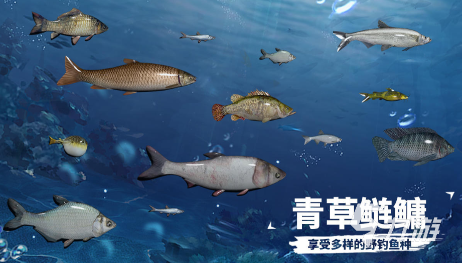 2026热门钓鱼游戏推荐：经典耐玩的钓鱼小游戏排行榜(图5)